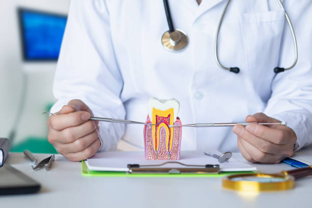 Best Urgent Tooth Repair  in Bushnell, FL
